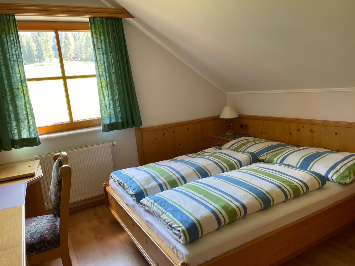 Ferienhaus Alpenblick Krakauschatten Екстериор снимка