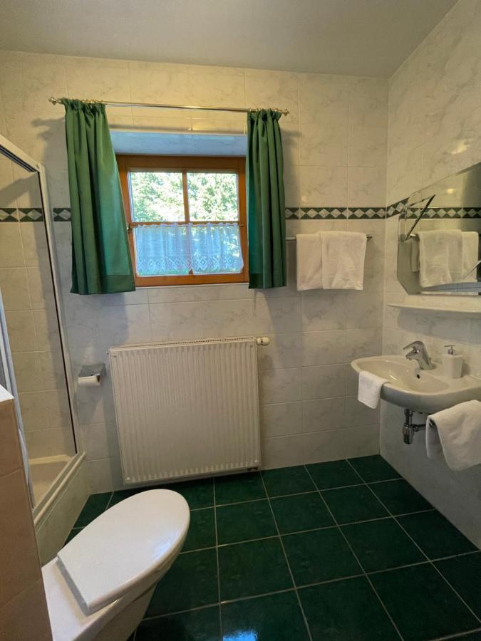 Ferienhaus Alpenblick Krakauschatten Екстериор снимка